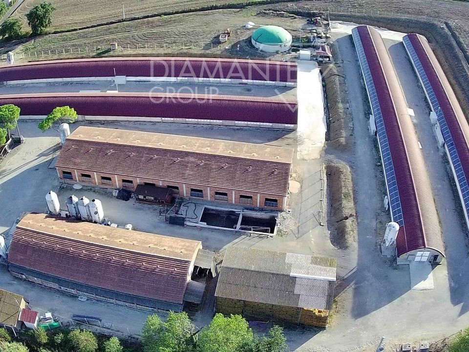 Farm i Magione, Perugia - foto 5