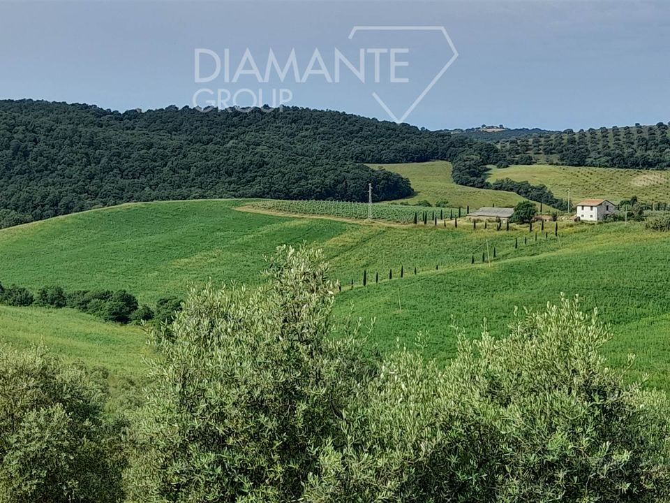 Granja en Scansano, Grosseto - foto 2
