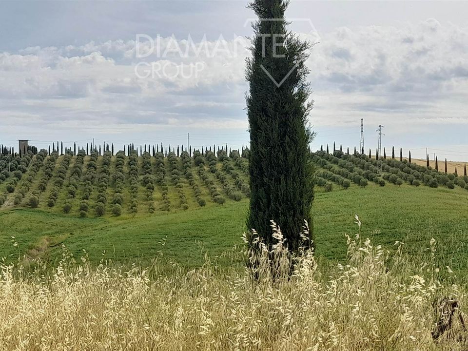 Granja en Scansano, Grosseto - foto 3