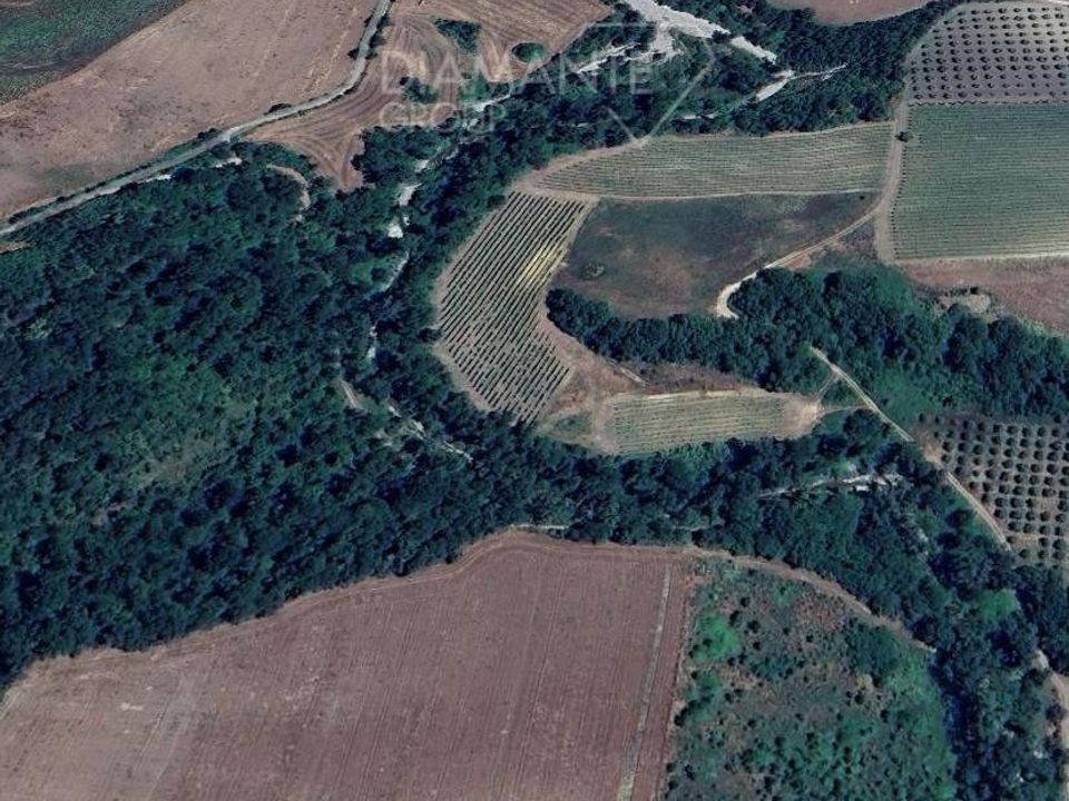 Granja en Scansano, Grosseto - foto 5