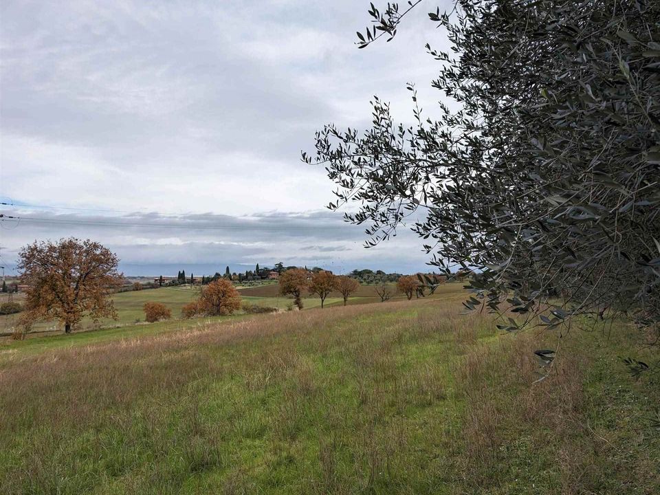 Helårsgrund i Castiglione del Lago, Perugia - foto 1