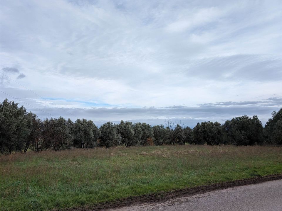 Helårsgrund i Castiglione del Lago, Perugia - foto 2