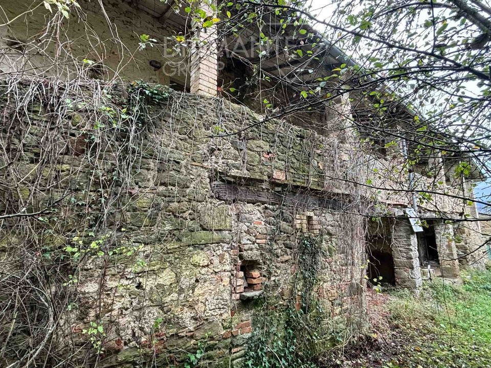 Farm i Poppi, Arezzo - foto 5