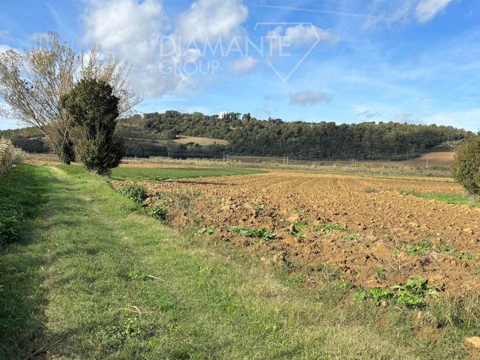 Terra a Citta della Pieve, Perugia - foto 2
