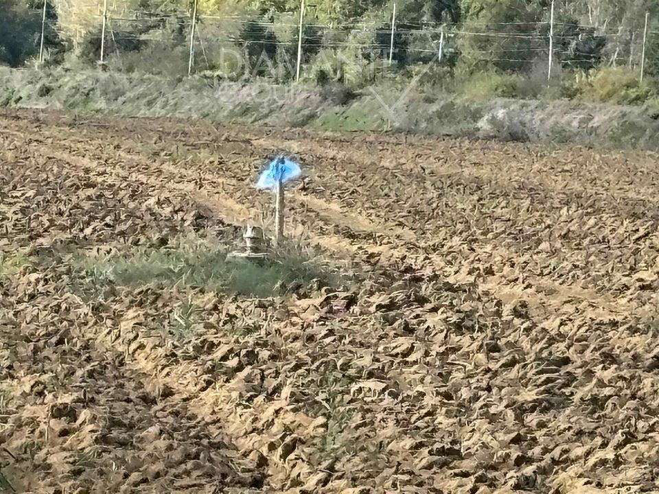 Terra a Citta della Pieve, Perugia - foto 3