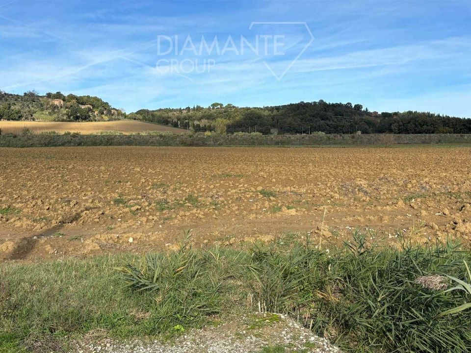 Terra a Citta della Pieve, Perugia - foto 4