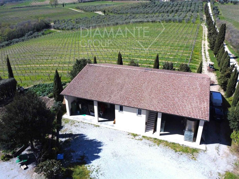 Farm i Castel del Piano, Grosseto - foto 1