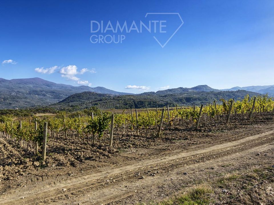 Farm i Castel del Piano, Grosseto - foto 2