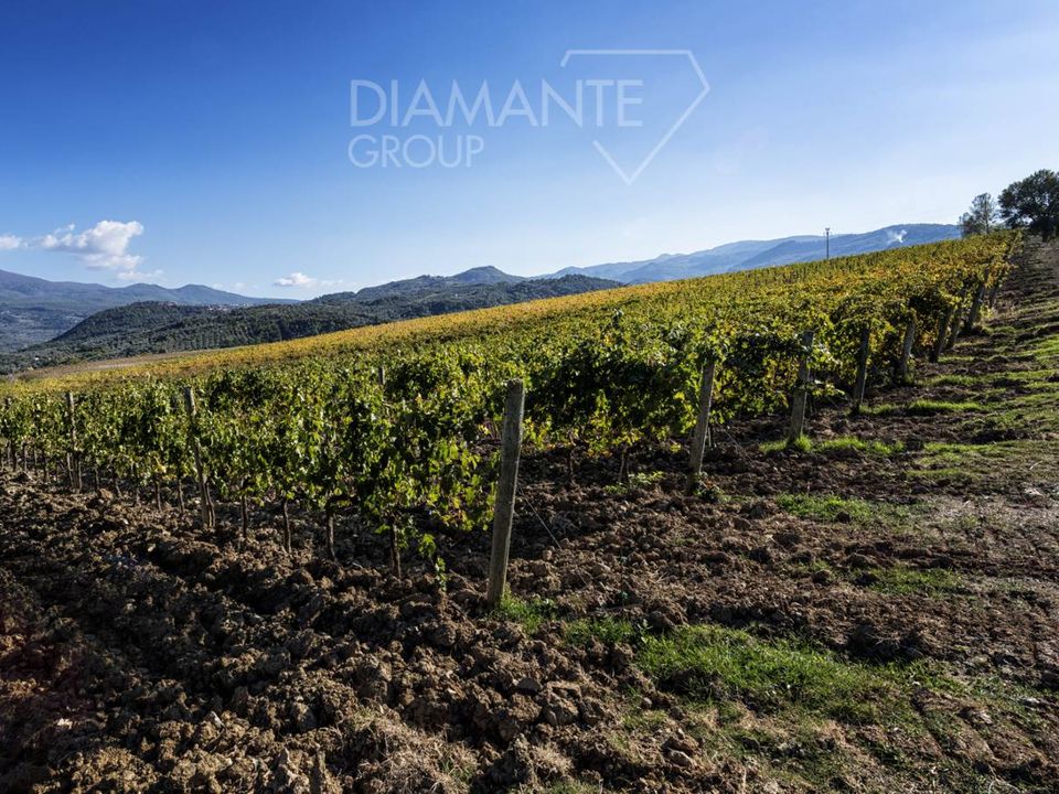 Farm i Castel del Piano, Grosseto - foto 3