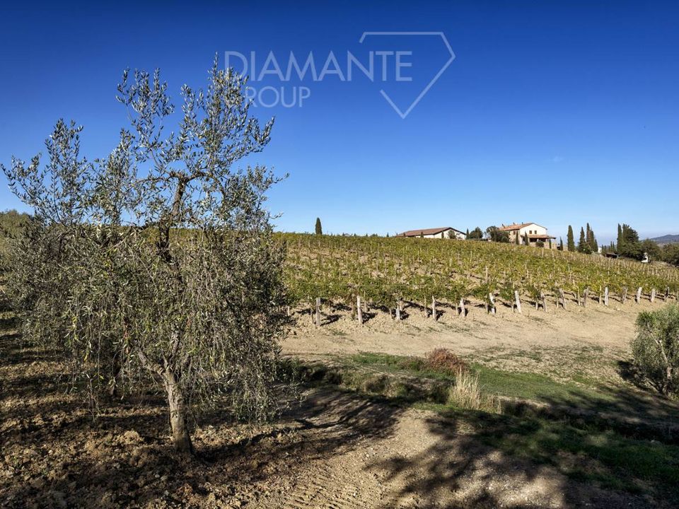 Farm i Castel del Piano, Grosseto - foto 4