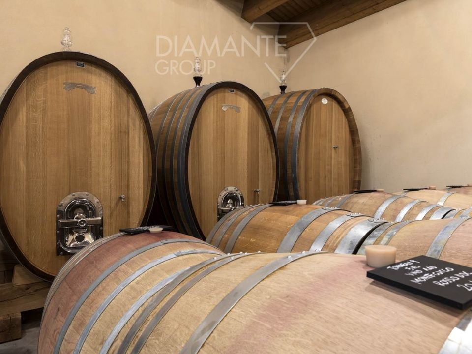 Farm i Castel del Piano, Grosseto - foto 5