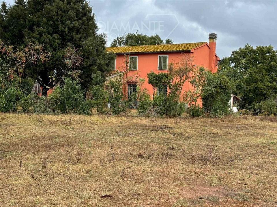 Farm i Gavorrano, Grosseto - foto 3
