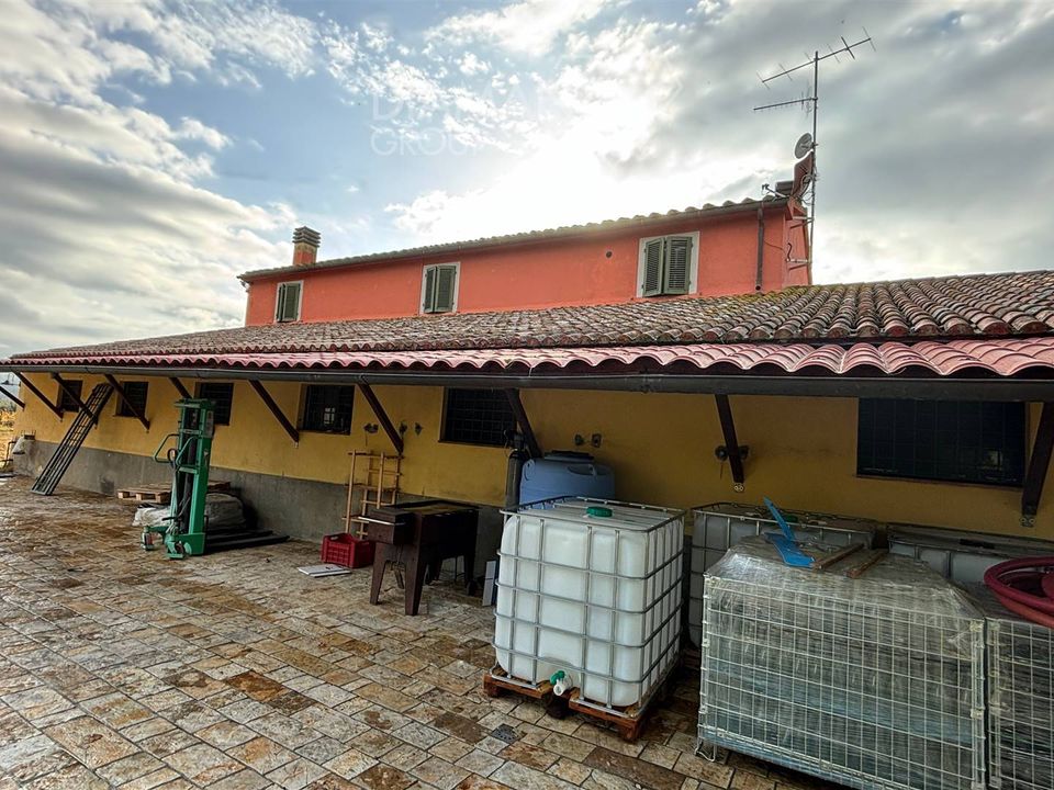 Farm i Gavorrano, Grosseto - foto 4