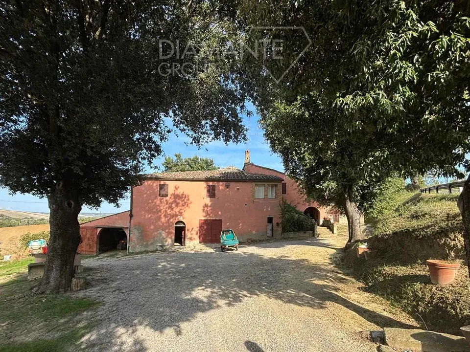 Farm i Montalcino, Siena - foto 1