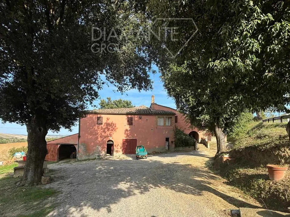 Farm i Montalcino, Siena - foto 2