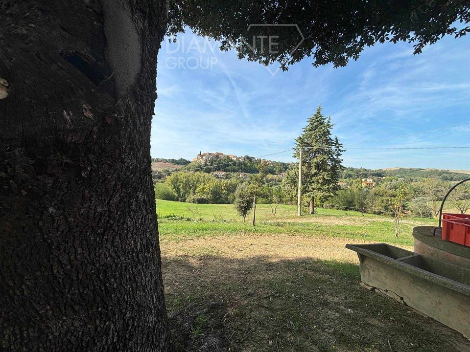 Farm i Montalcino, Siena - foto 5