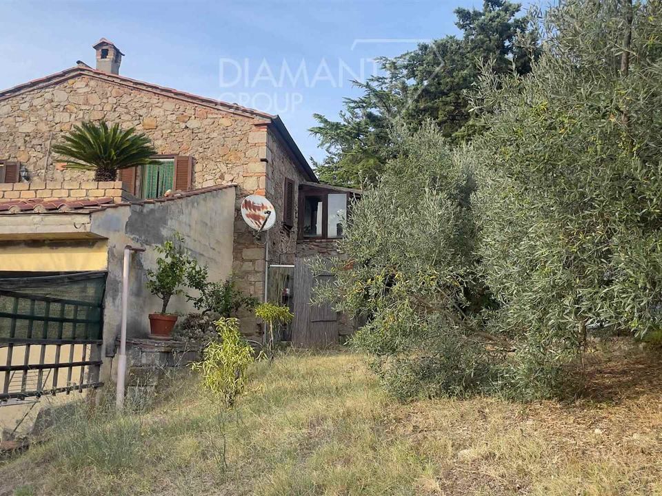 Farm i Roccastrada, Grosseto - foto 2
