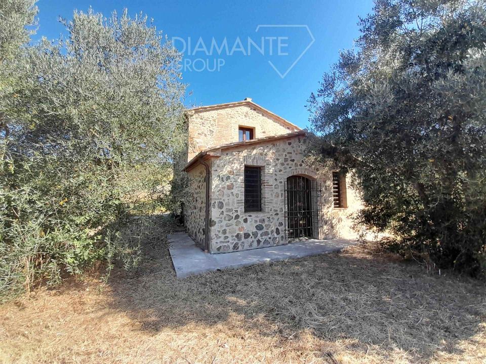 Farm hus i Civitella Paganico, Grosseto - foto 4
