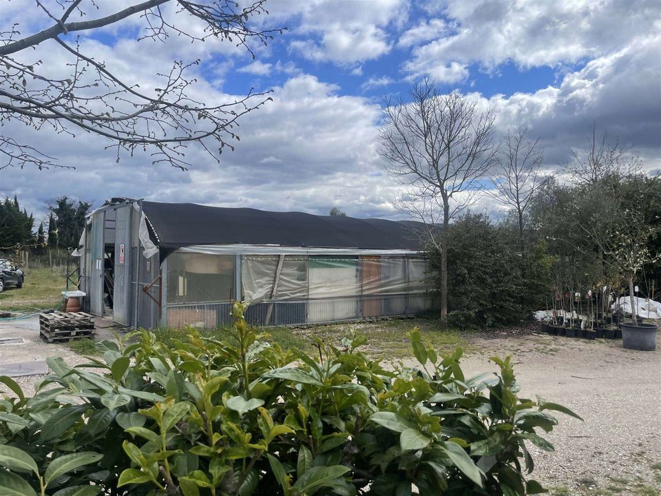 Farm i Gubbio, Perugia - foto 2