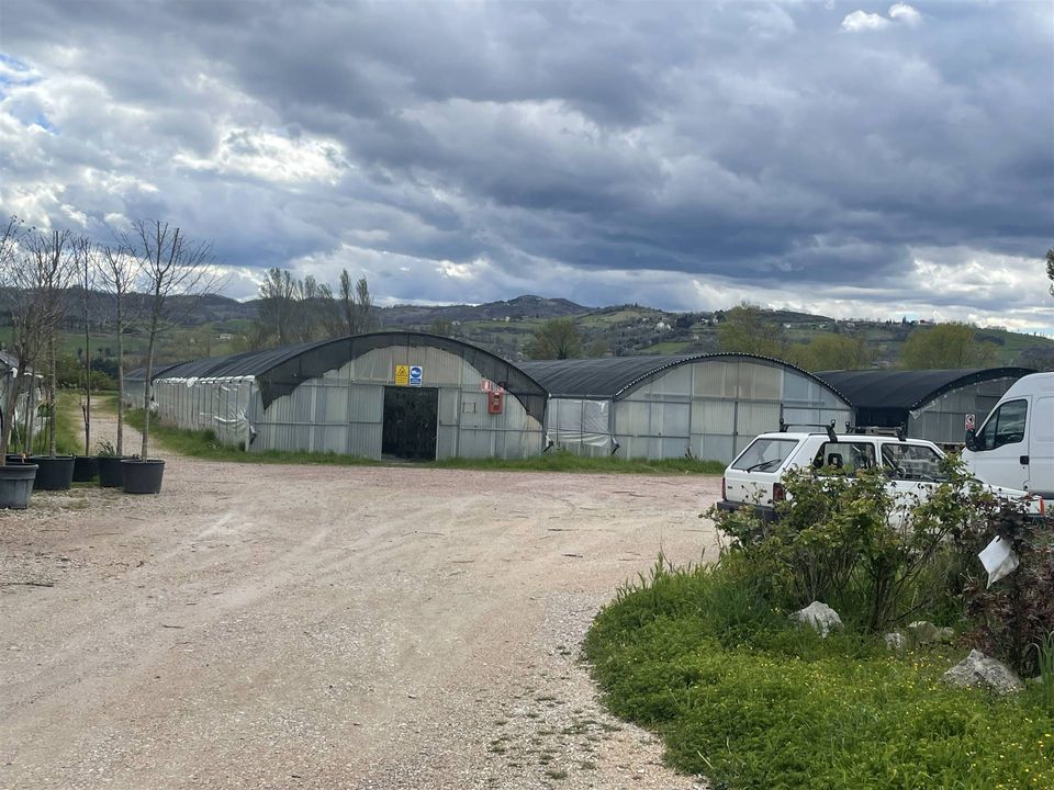 Farm i Gubbio, Perugia - foto 3