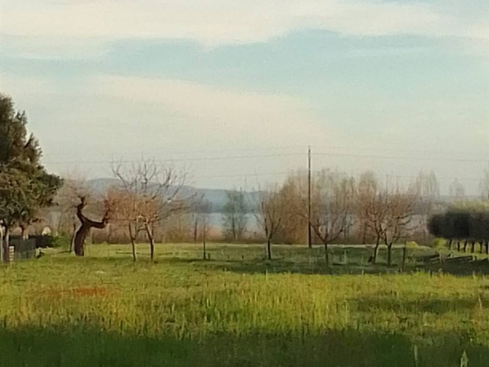 Helårsgrund i Tuoro sul Trasimeno, Perugia - foto 2