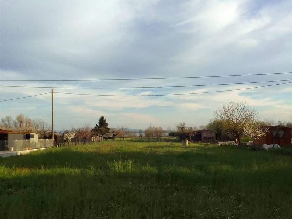 Helårsgrund i Tuoro sul Trasimeno, Perugia - foto 4
