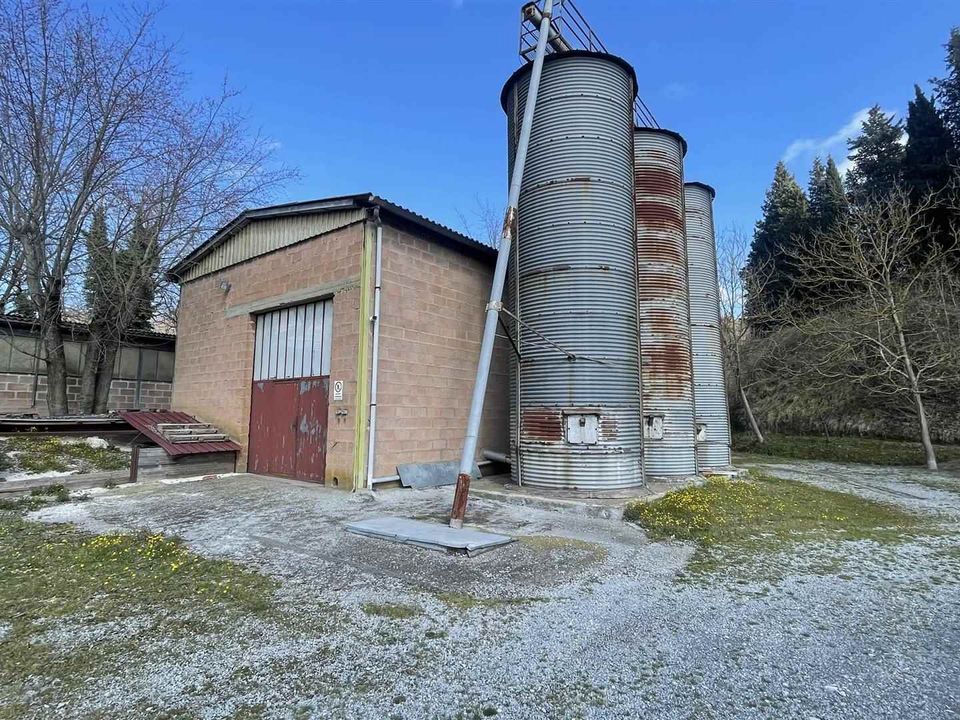 Farm i Chiusi, Siena - foto 3