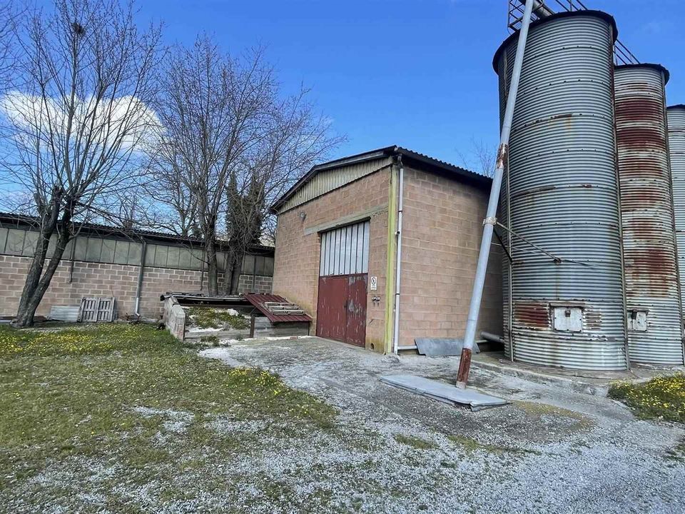 Farm i Chiusi, Siena - foto 4