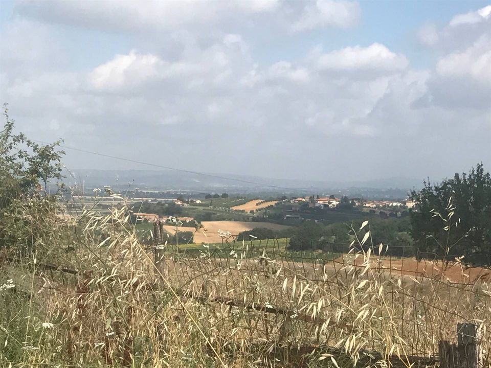 Farm hus i Montepulciano, Siena - foto 4