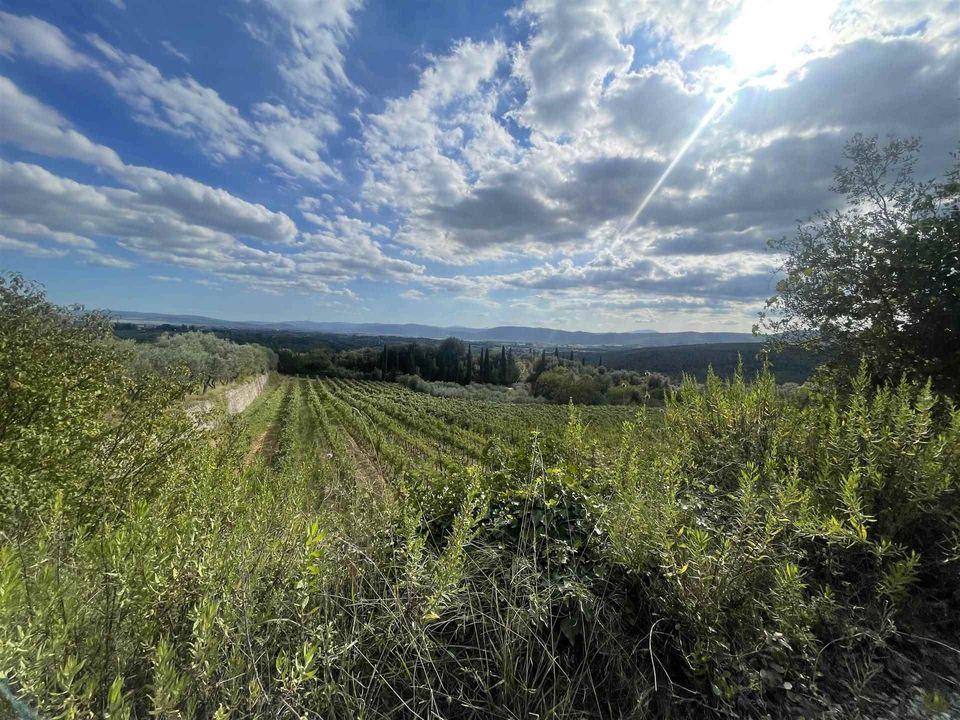 Farm i Siena, Siena - foto 5