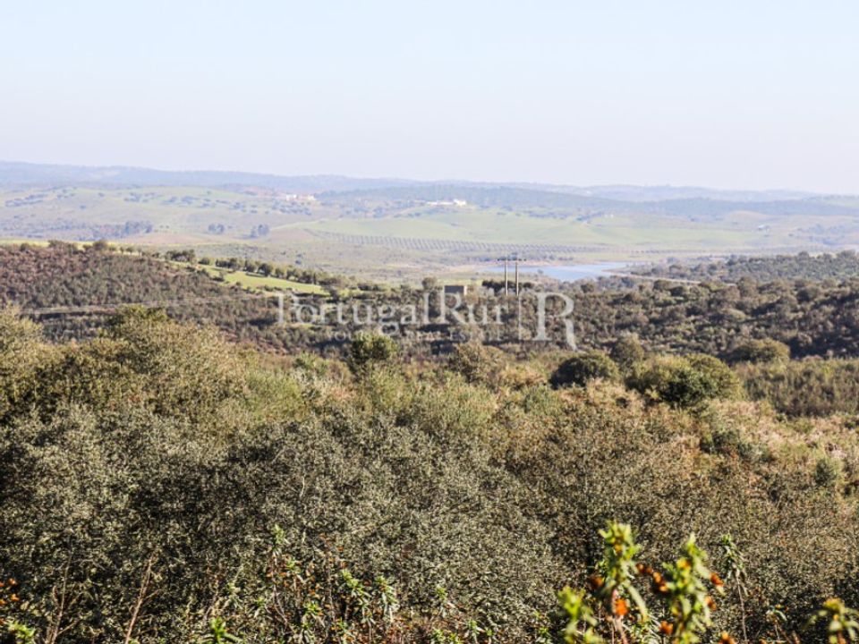 Landejendom i Alandroal, Evora - foto 4