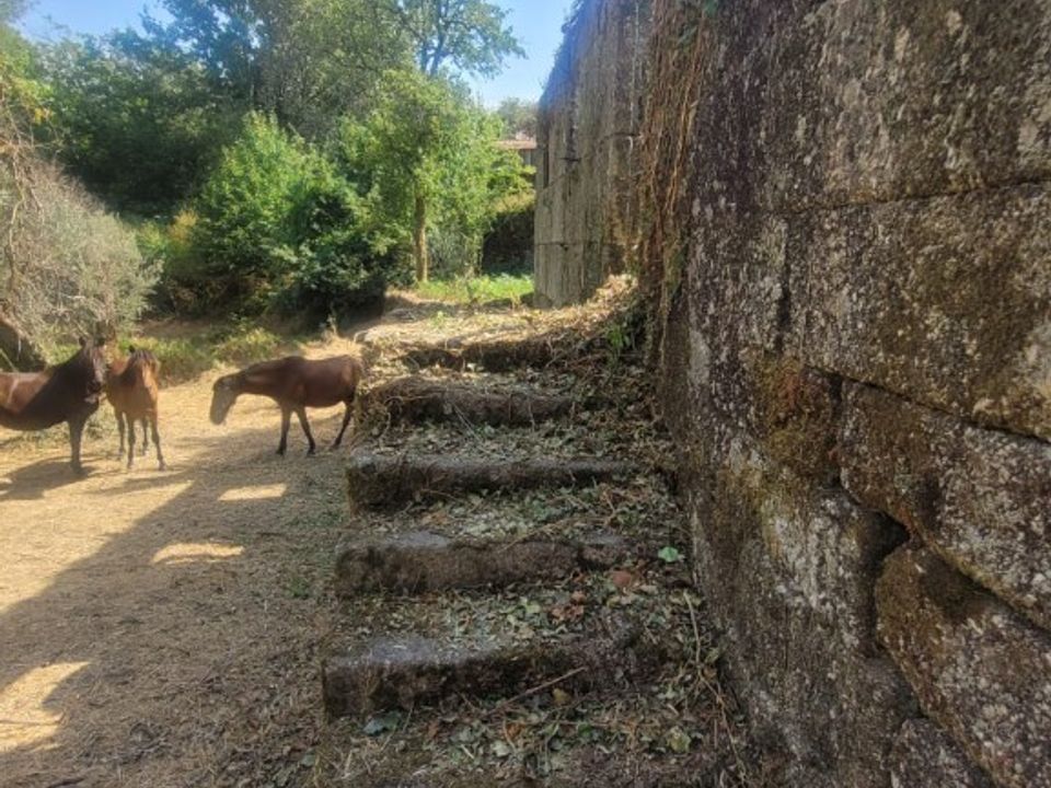 Gård i Vieira do Minho, Braga - bilde 2