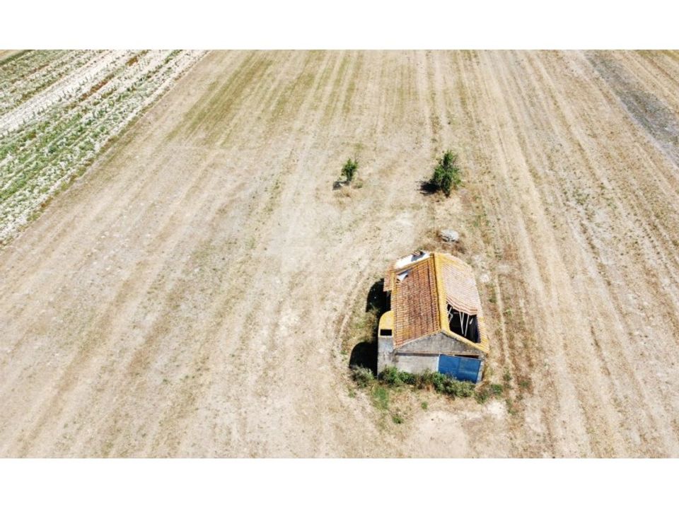 Farm i Almeirim, Santarem - foto 2