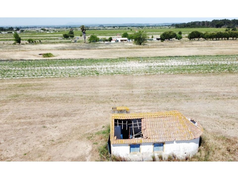 Farm i Almeirim, Santarem - foto 3