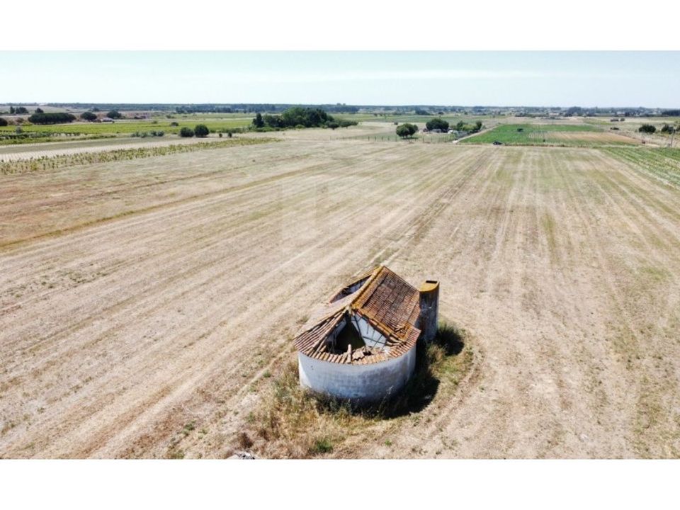 Farm i Almeirim, Santarem - foto 4