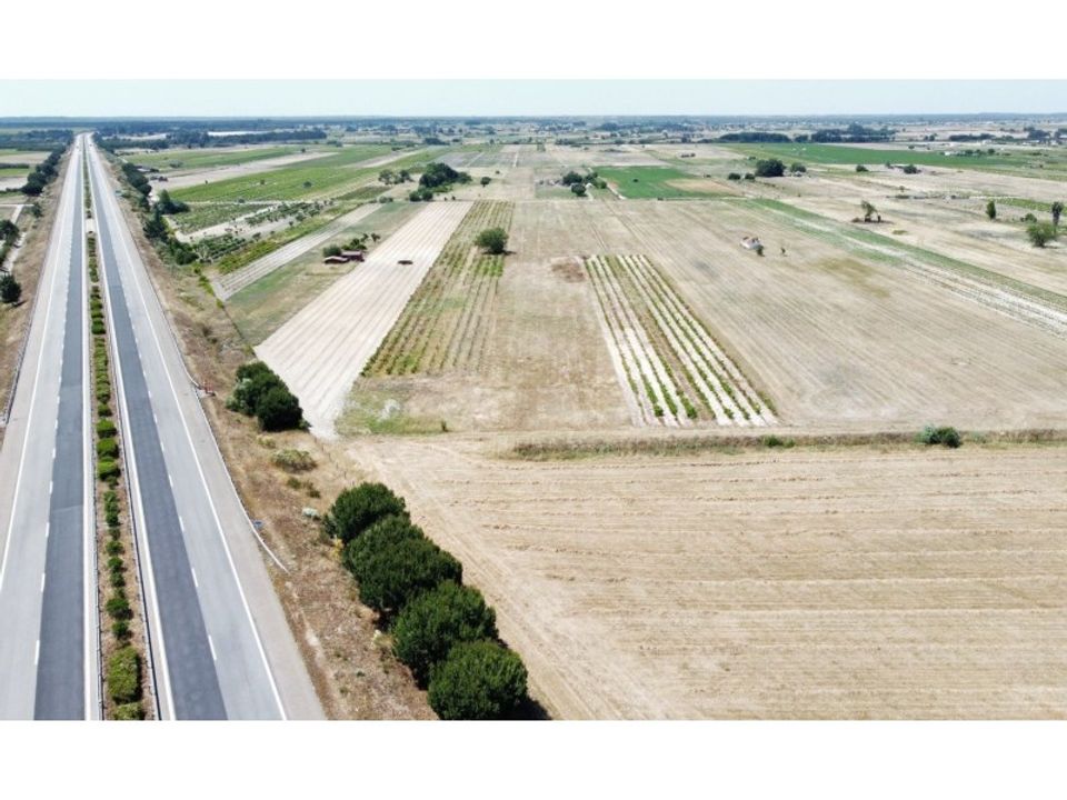 Farm i Almeirim, Santarem - foto 5