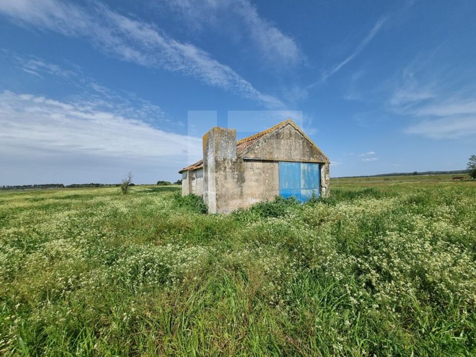 Farm i Almeirim, Santarem - foto 1