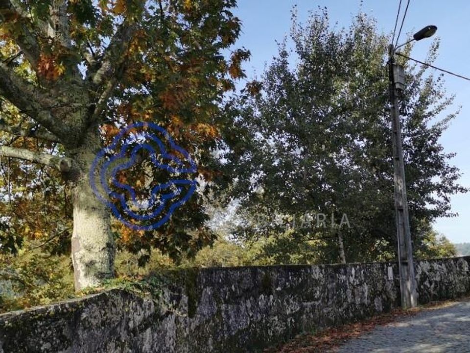Farm i Penafiel, Porto - foto 4
