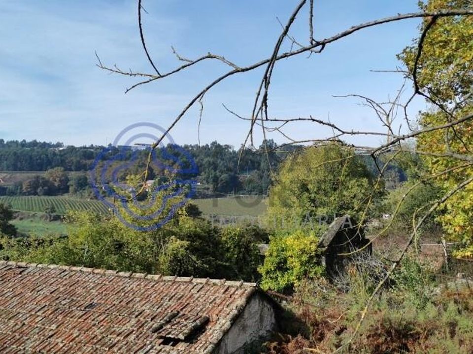 Farm i Penafiel, Porto - foto 5