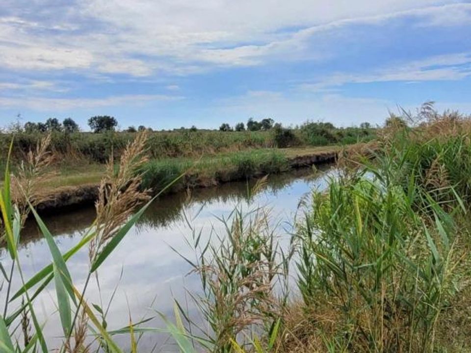 Helårsgrund i Saint-Bonnet-Sur-Gironde, Charente-Maritime - foto 1