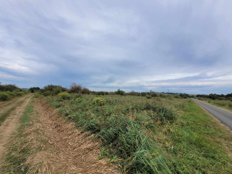 Helårsgrund i Saint-Bonnet-Sur-Gironde, Charente-Maritime - foto 2