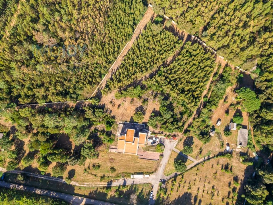 Villa i Sintra, Lisbon - foto 3