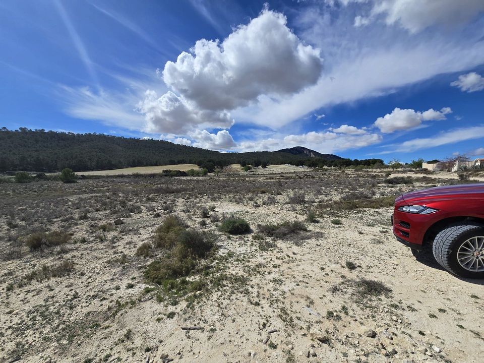 Helårsgrund i Salinas, Alicante - foto 3