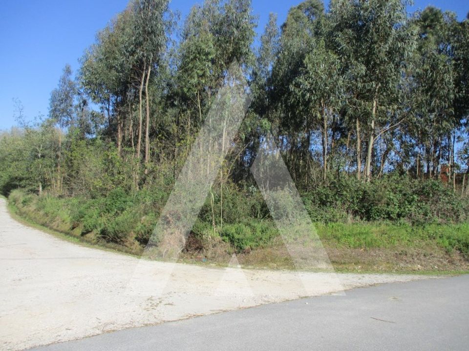 Helårsgrund i Oliveira do Bairro, Aveiro - foto 1
