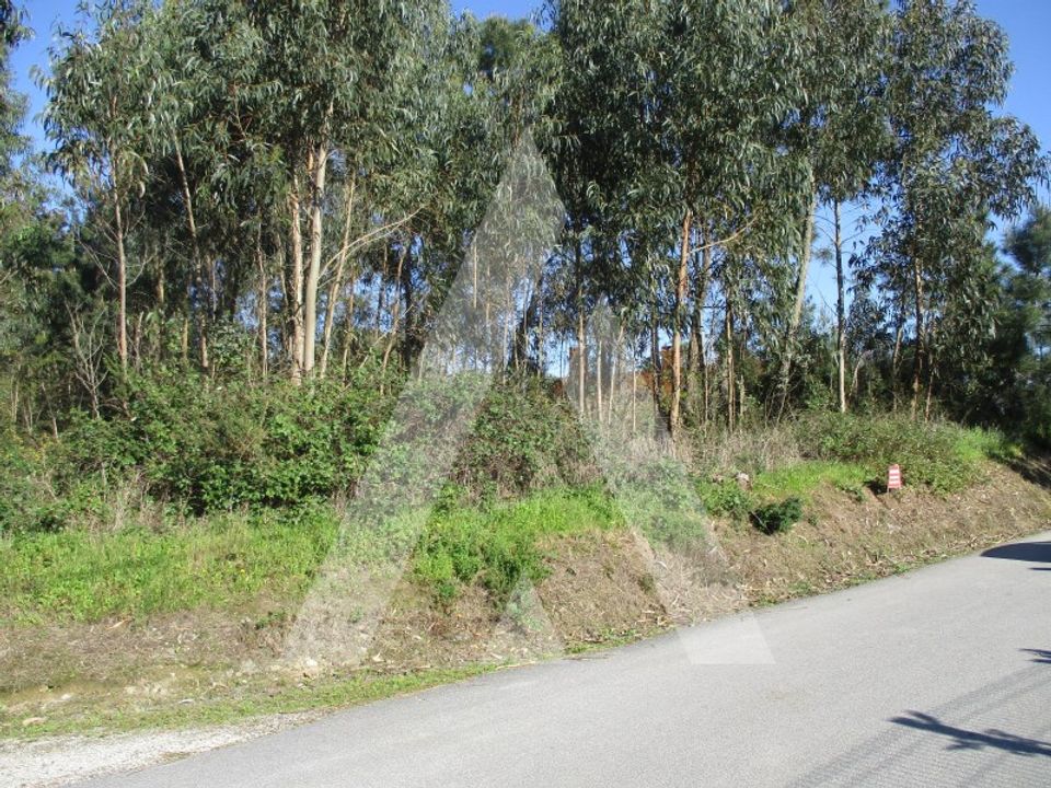 Helårsgrund i Oliveira do Bairro, Aveiro - foto 3