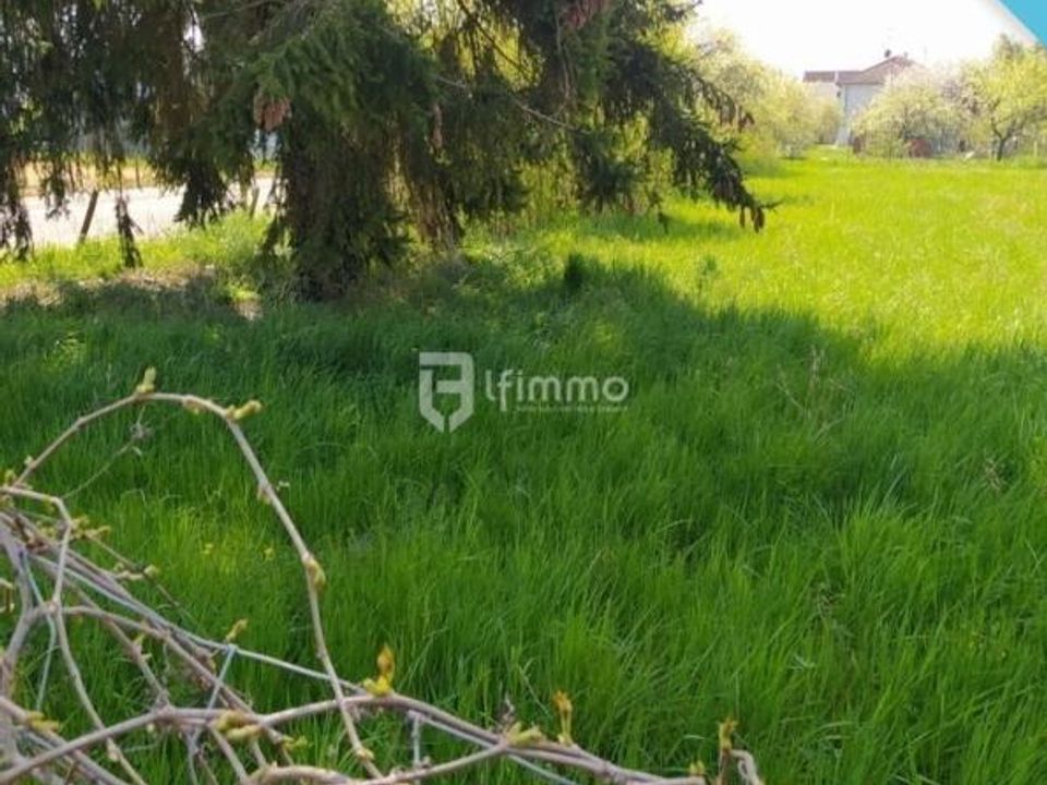 Helårsgrund i Porte-du-Ried, Haut-Rhin - foto 1
