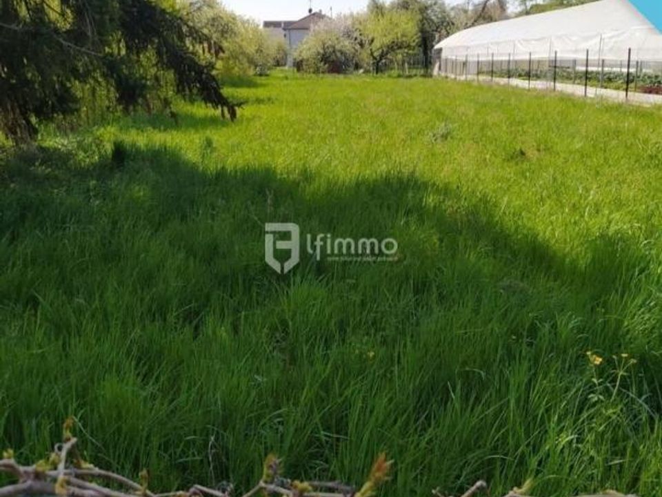 Helårsgrund i Porte-du-Ried, Haut-Rhin - foto 2