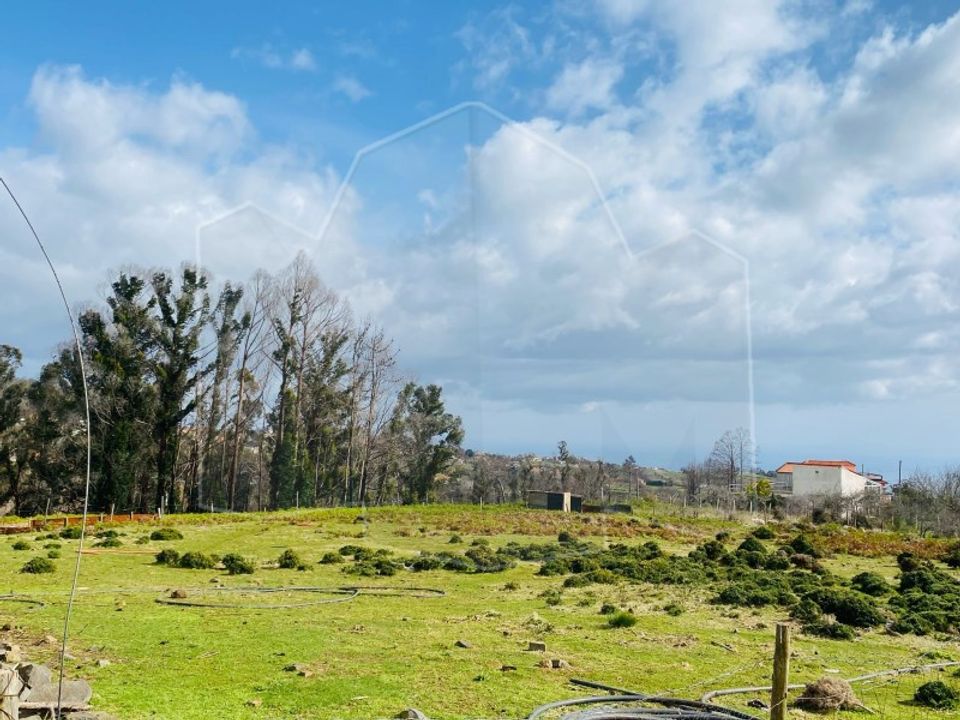 Helårsgrund i Calheta, Madeira - foto 1