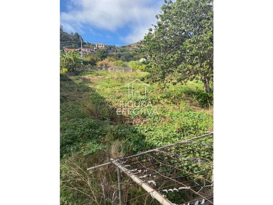 Helårsgrund i Ribeira Brava, Madeira - foto 2