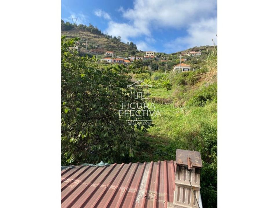 Helårsgrund i Ribeira Brava, Madeira - foto 4